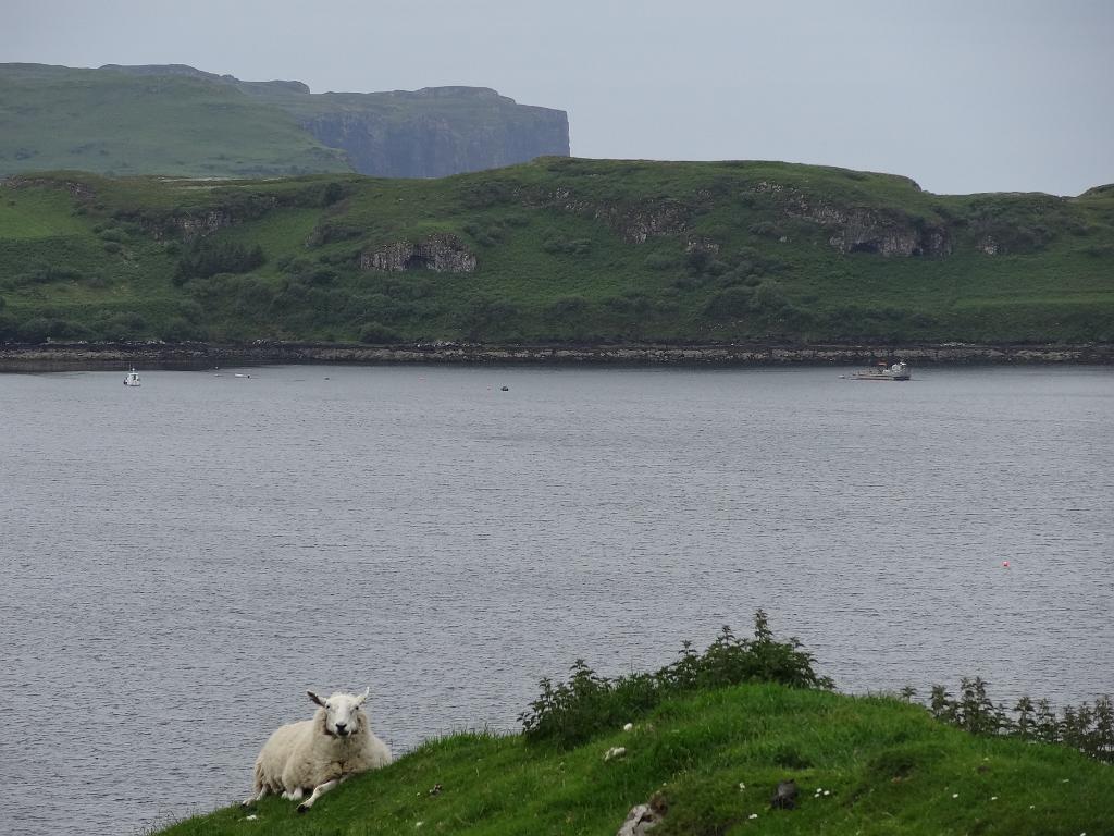 2014_06_Scotland_Day_06_Isle_of_Skye (29).JPG